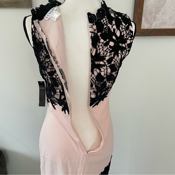 Elegant Black and Pink Lace Dress - Picture 9 of 10